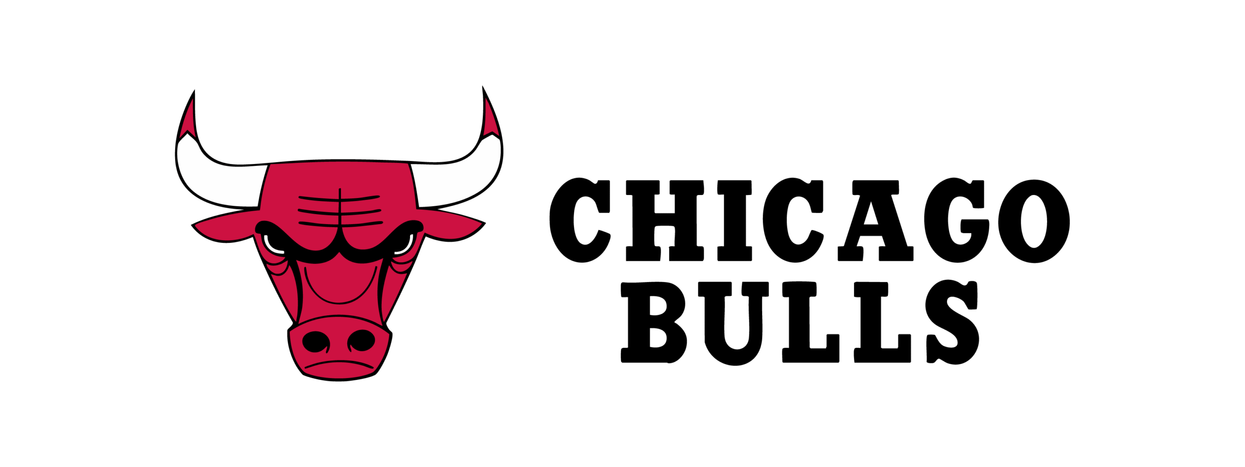Chicago Bulls logo for Awning projec