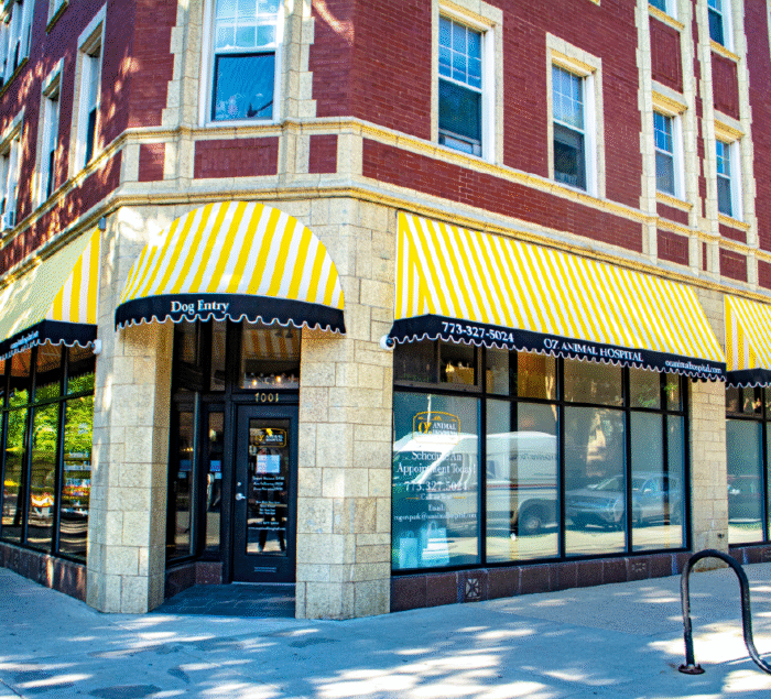 Custom awnings in Chicago by SignFreaks, offering shade and style.